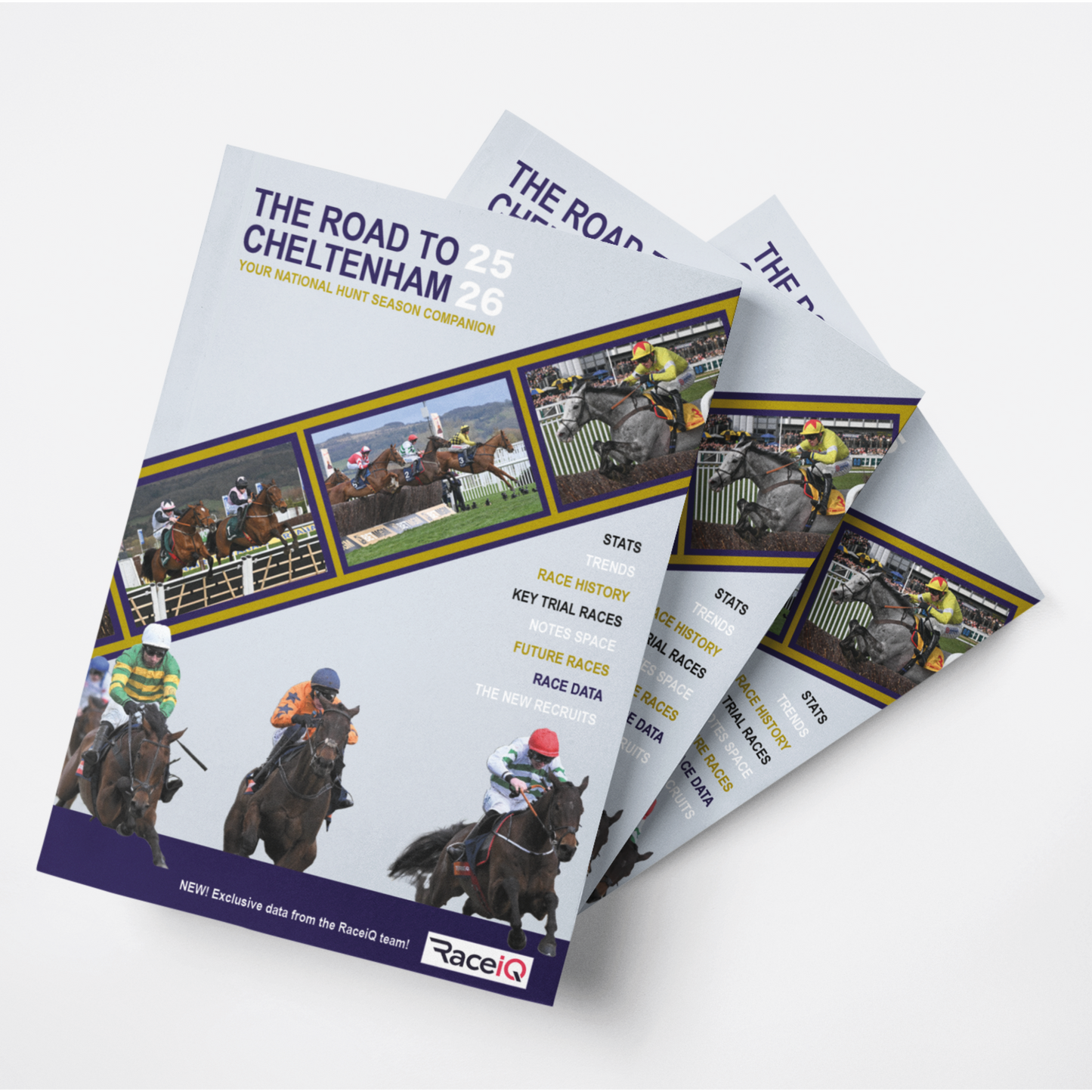 The Road to Cheltenham Festival Planner 25/26