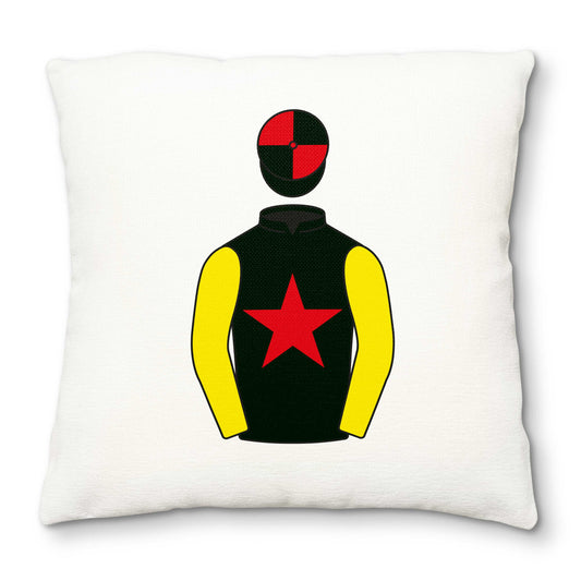 M J Hanrahan Deluxe Cushion Cover