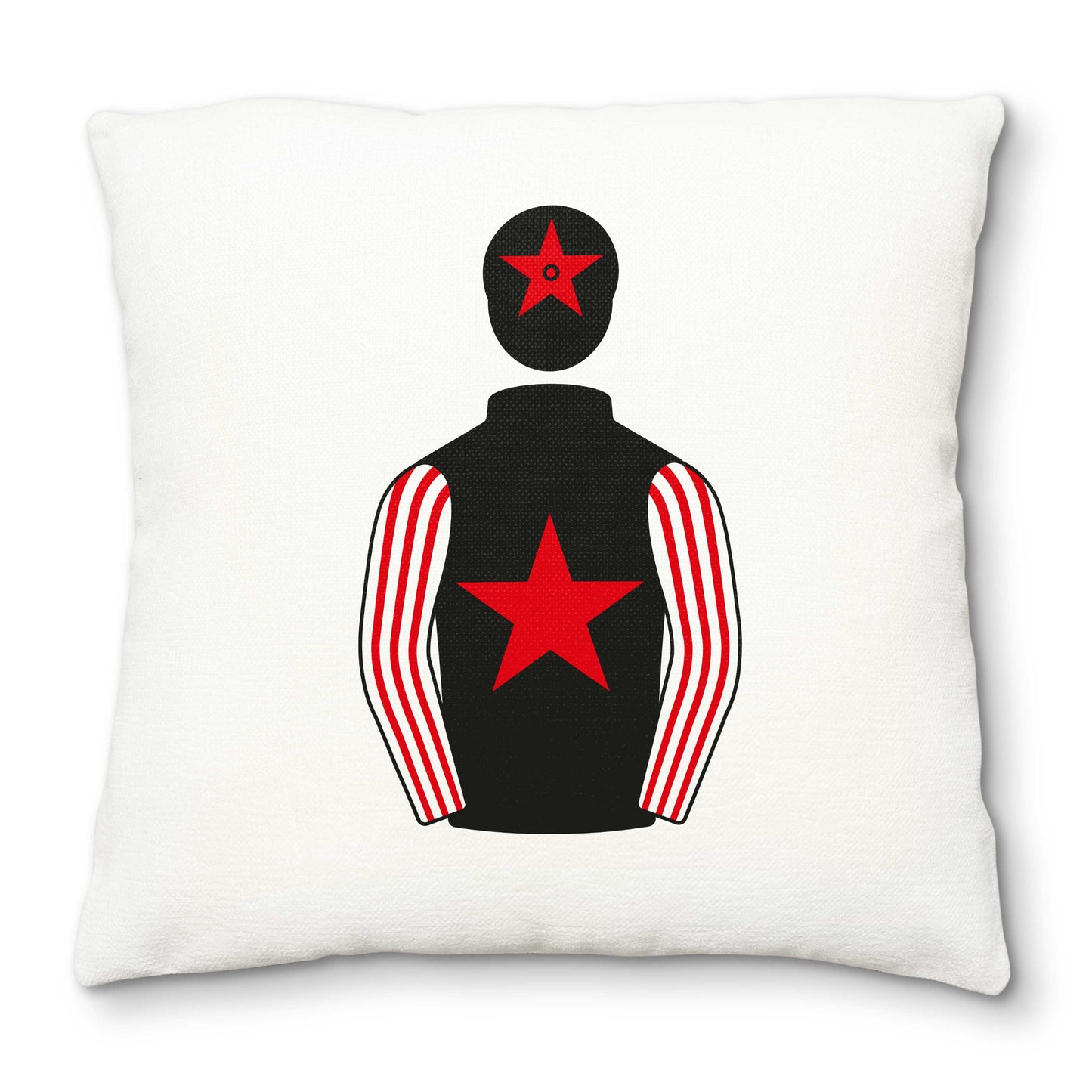 My Racing Manager Friends Deluxe Cushion Cover