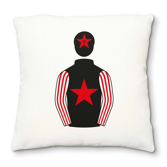 My Racing Manager Friends Deluxe Cushion Cover