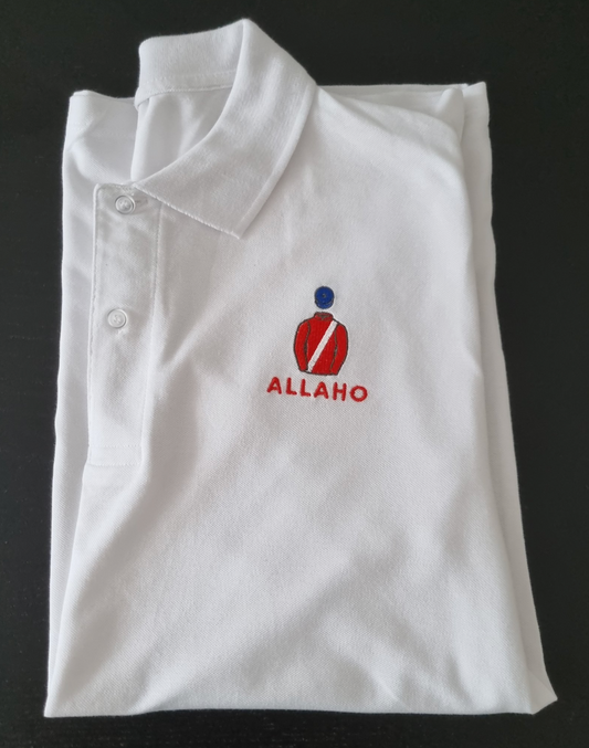 Design and Digitise my logo for embroidery