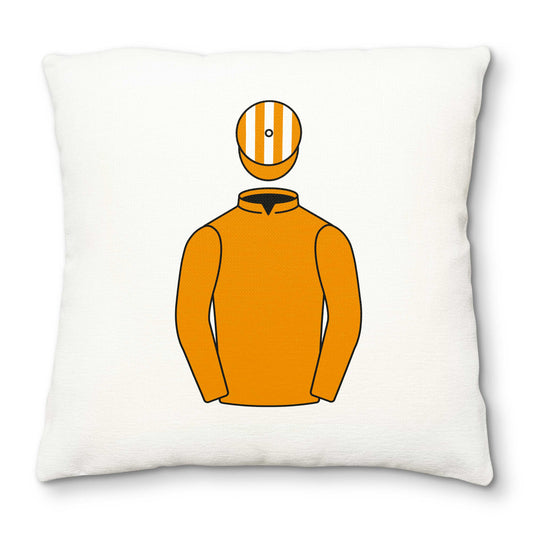 Aidan J O Ryan Deluxe Cushion Cover - Hacked Up