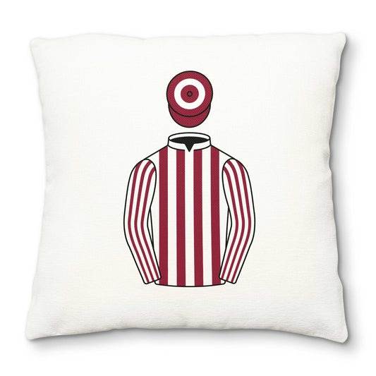 C Jones Deluxe Cushion Cover - Hacked Up