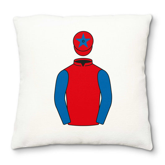 Hammer and Trowel Syndicate Deluxe Cushion Cover - Deluxe Cushion Cover - Hacked Up