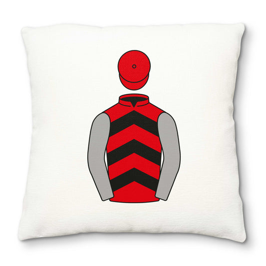 Drew And Ailsa Russell Deluxe Cushion Cover - Hacked Up