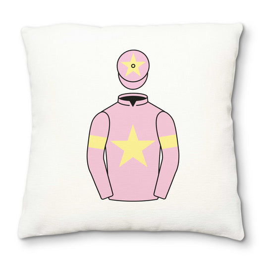 Frank Bird Deluxe Cushion Cover - Hacked Up