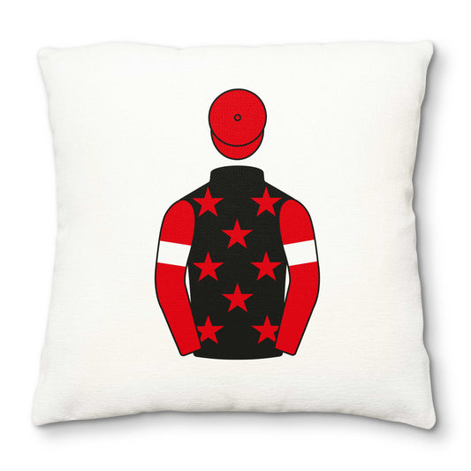 Christian Williams Racing club Deluxe Cushion Cover - Deluxe Cushion Cover - Hacked Up