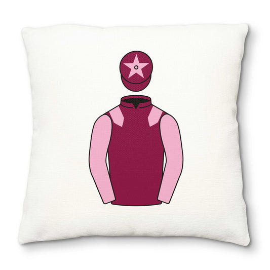 Holt, Macnabb, Robinson And Jeffrey Deluxe Cushion Cover - Hacked Up