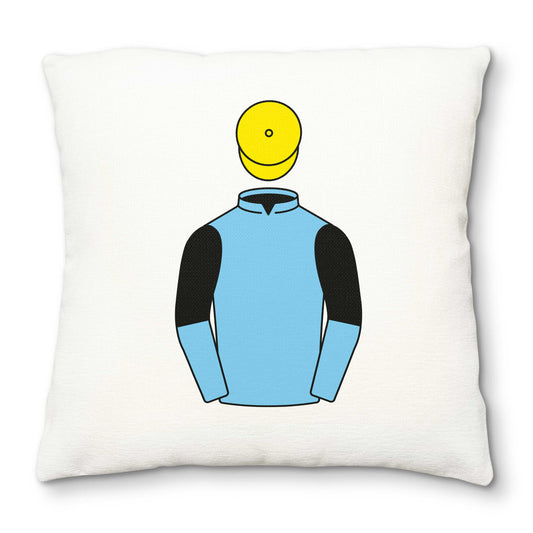 Ms J Bridel Deluxe Cushion Cover - Hacked Up