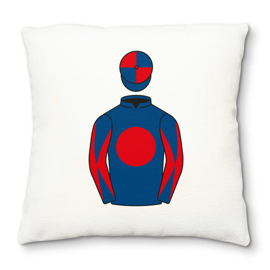 Deva Racing Deluxe Cushion Cover - Deluxe Cushion Cover - Hacked Up