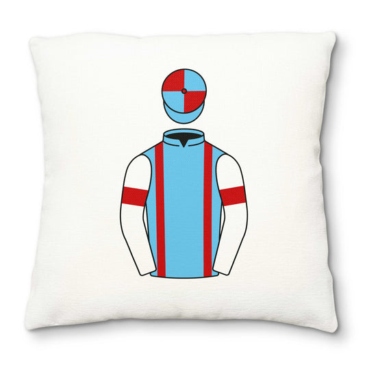 Kate And Andrew Brooks Deluxe Cushion Cover - Deluxe Cushion Cover - Hacked Up