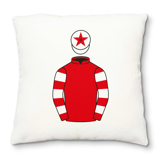 Roaringwater Syndicate Deluxe Cushion Cover - Deluxe Cushion Cover - Hacked Up