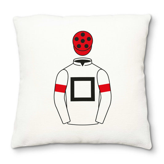 Some Neck Partnership Deluxe Cushion Cover - Hacked Up