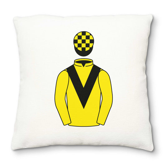 Terry Warner Deluxe Cushion Cover - Deluxe Cushion Cover - Hacked Up