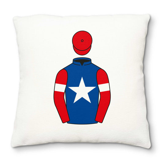 The Racing Emporium Deluxe Cushion Cover - Deluxe Cushion Cover - Hacked Up