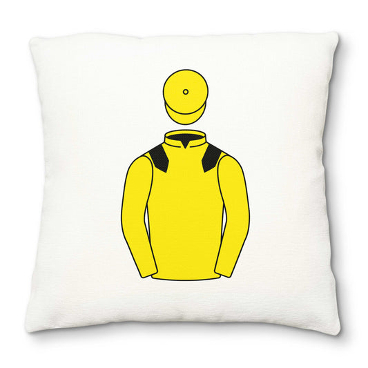 Sheikh Ahmed Al Maktoum Deluxe Cushion Cover - Deluxe Cushion Cover - Hacked Up