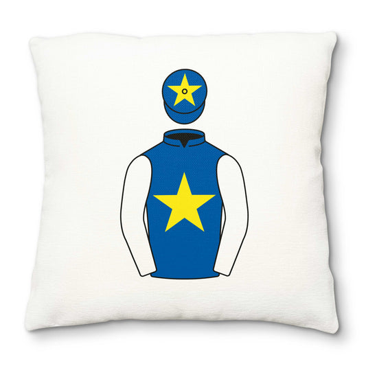 Pallister Racing Deluxe Cushion Cover - Hacked Up