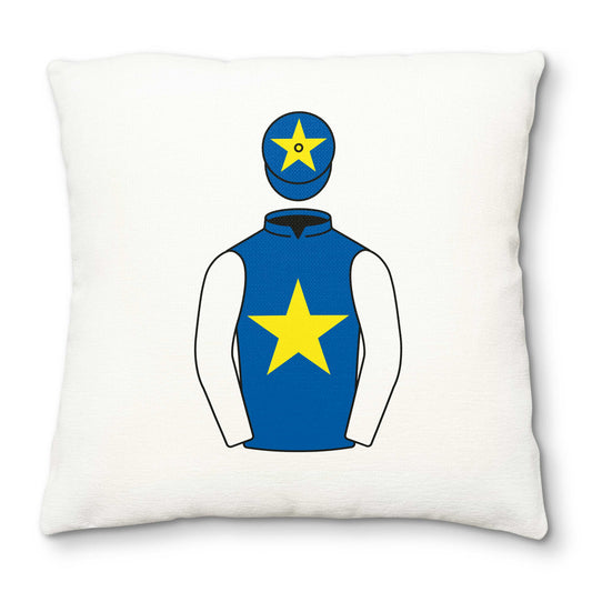 Pallister Racing Deluxe Cushion Cover - Hacked Up