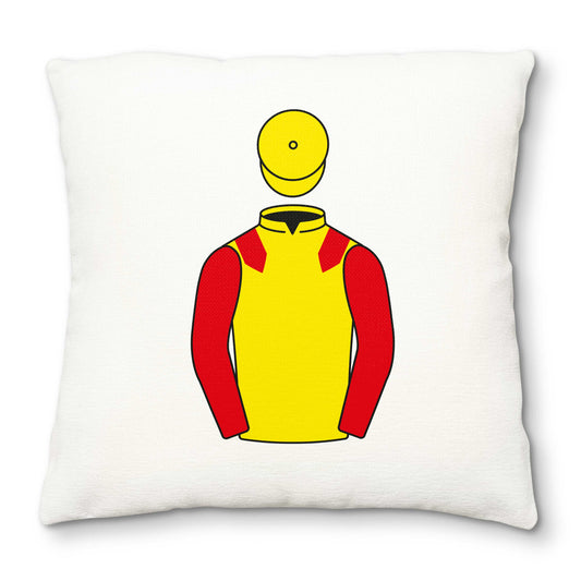 Anamoine Limited Deluxe Cushion Cover - Hacked Up